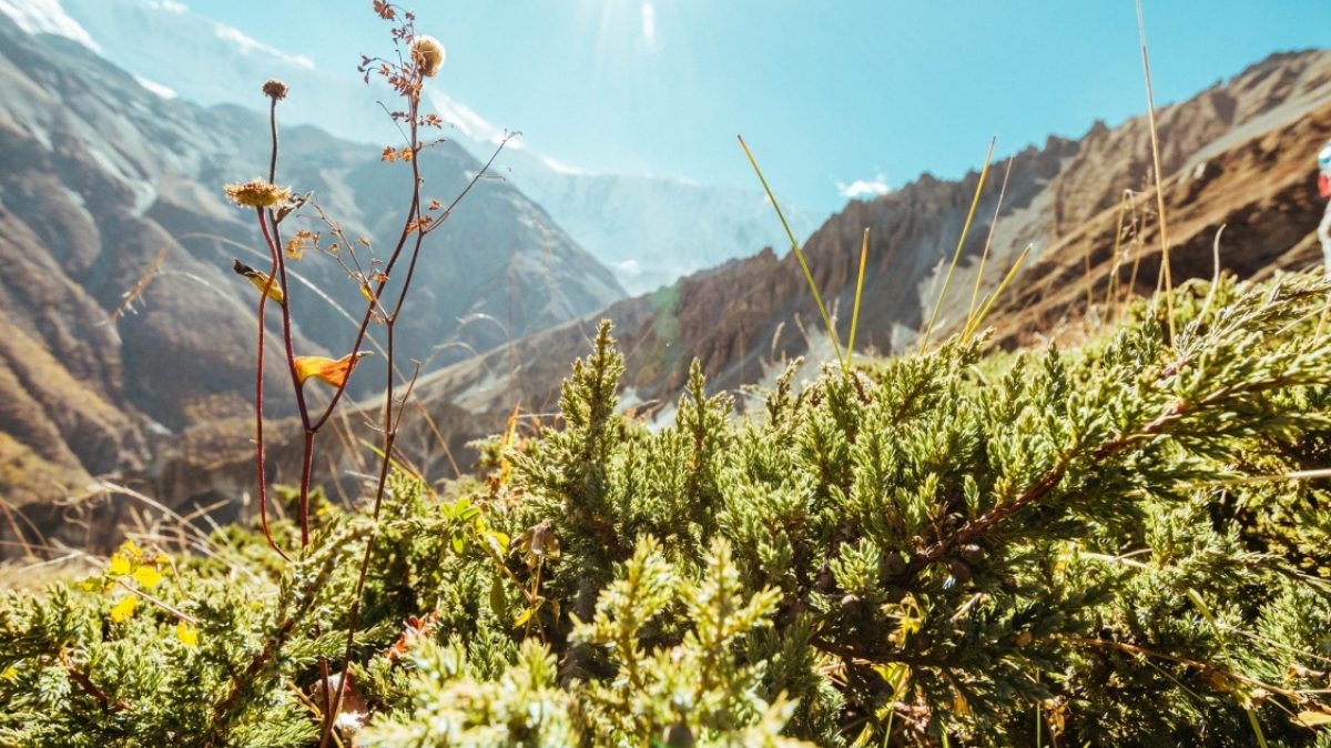 Фото Даниила Калинцева