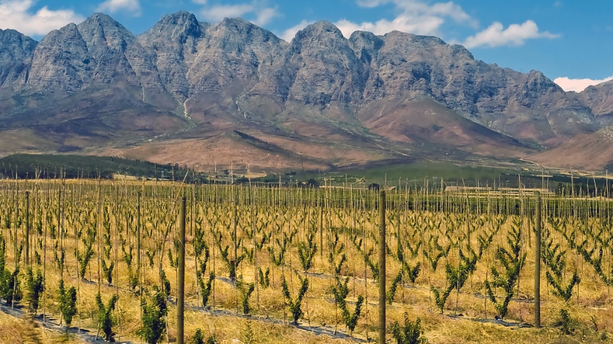 Автор: jackwickes,  источник: visualhunt.com