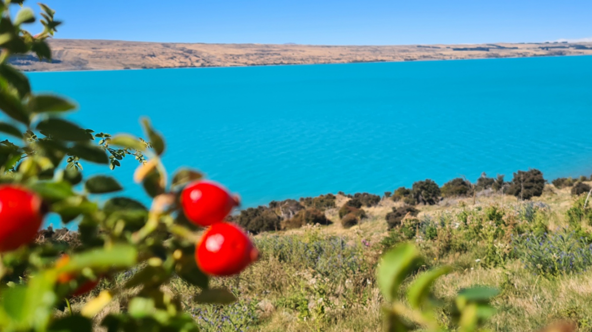 Фото: JustGoThere.NZ