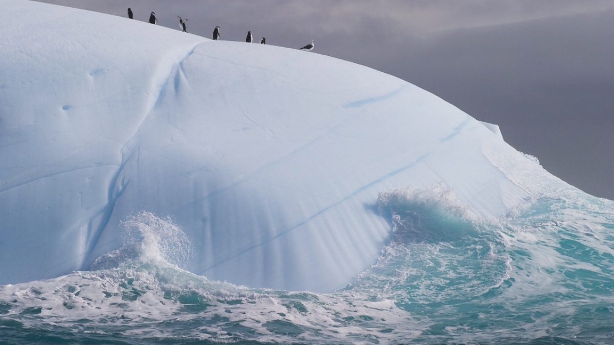 Фото: NOAA Photo Library, visualhunt.com