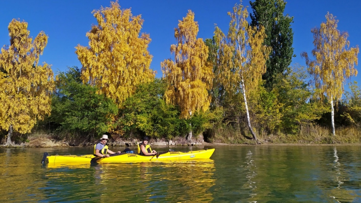 Фото: Сергей Трофименцев