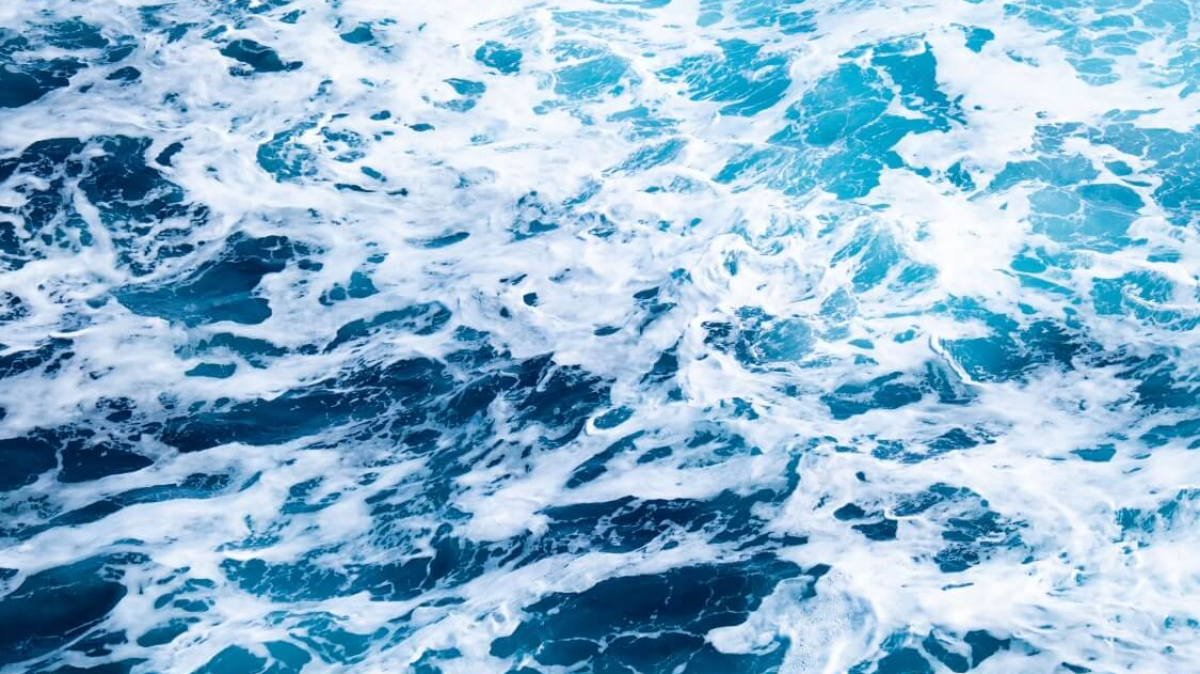 Фото: James Eades on unsplash