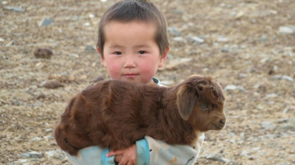 Фото: Tom Schuller on unsplash