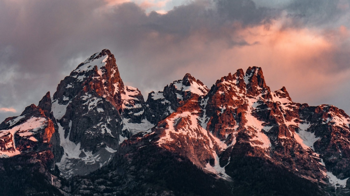 Фото: Toan Chu, unsplash.com