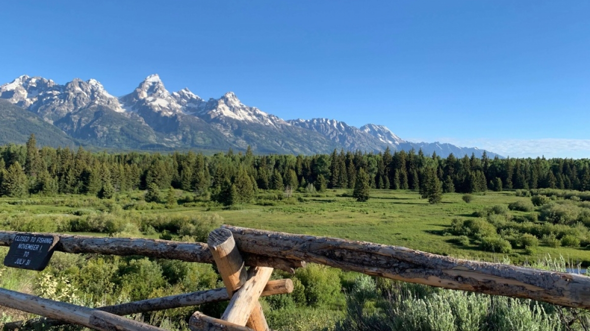 Фото: Michelle Callaha, unsplash.com