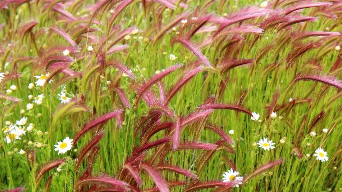 Фото нашей Странницы Юлии Цветковой