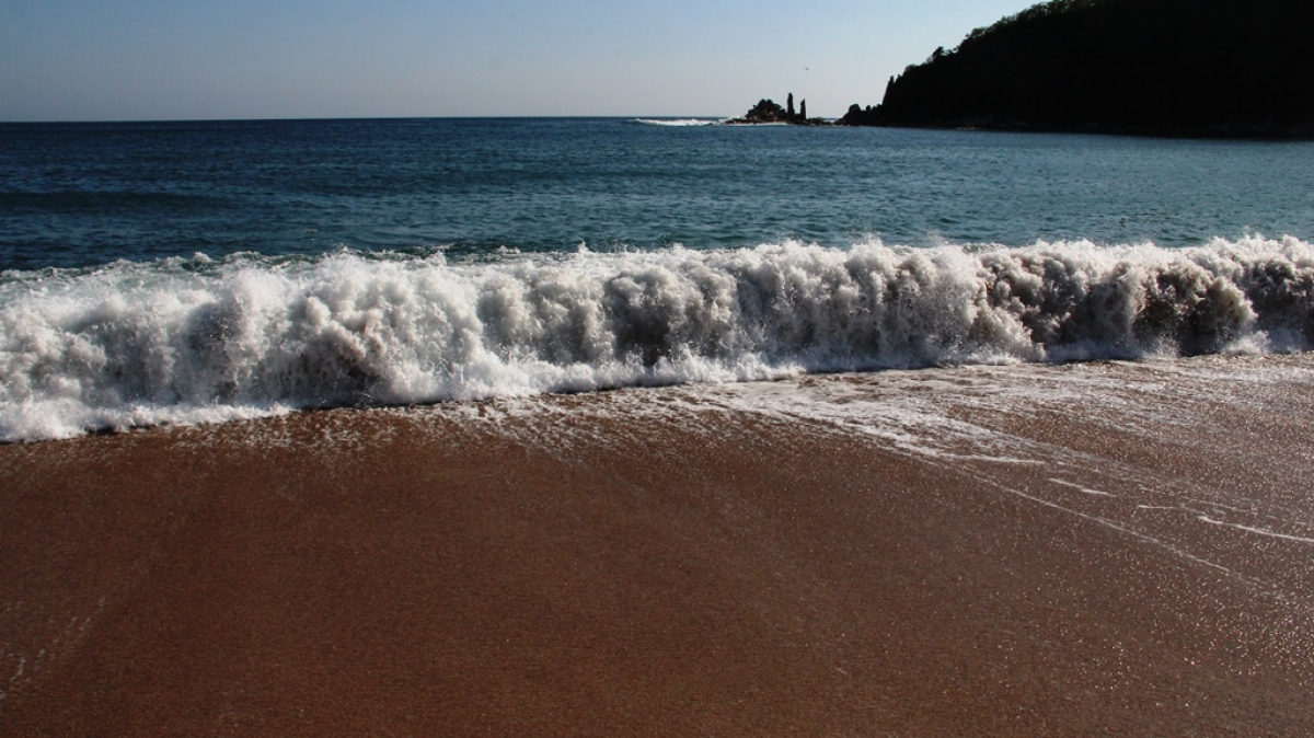 Фото Вероники Кузенковой