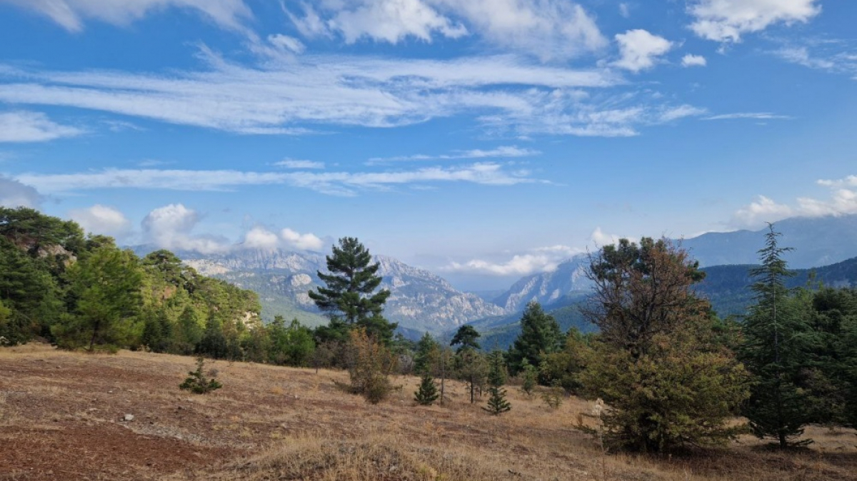 Фото наших Странников