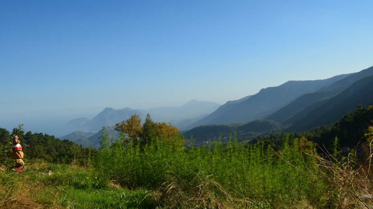 Из архива Клуба