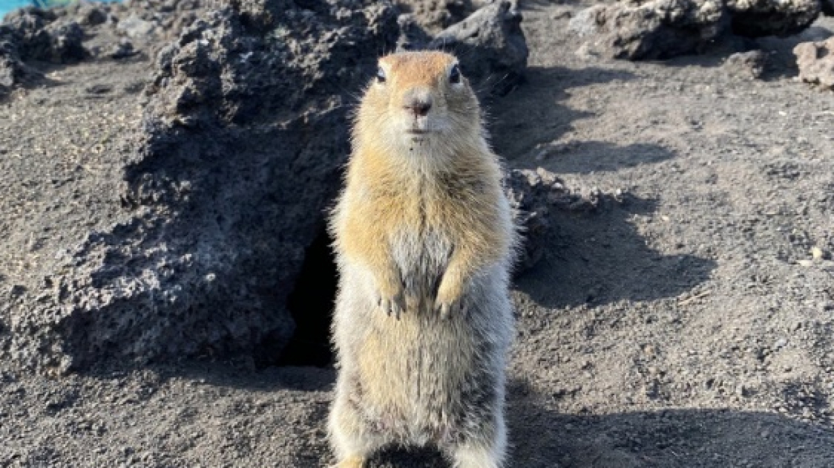 Фото наших Странников