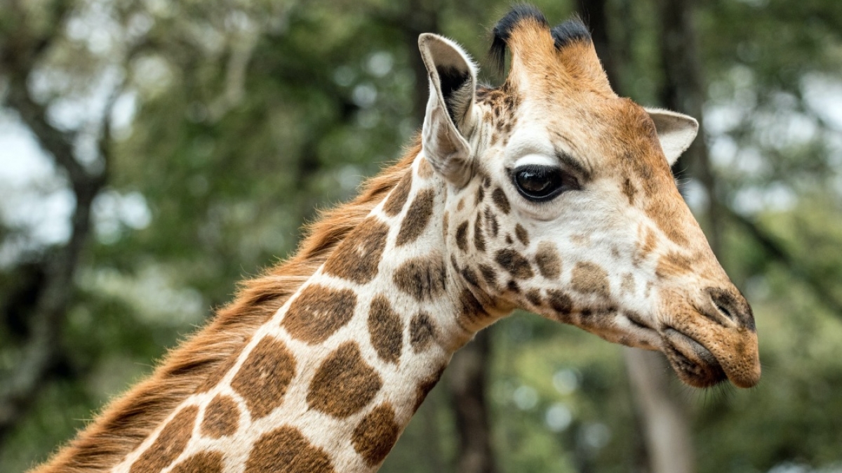 Фото: David Clode, unsplash.com