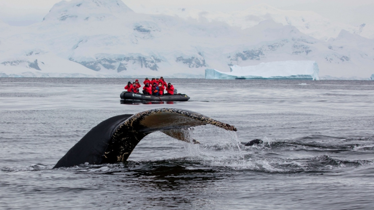 Фото: Poseidon expeditions