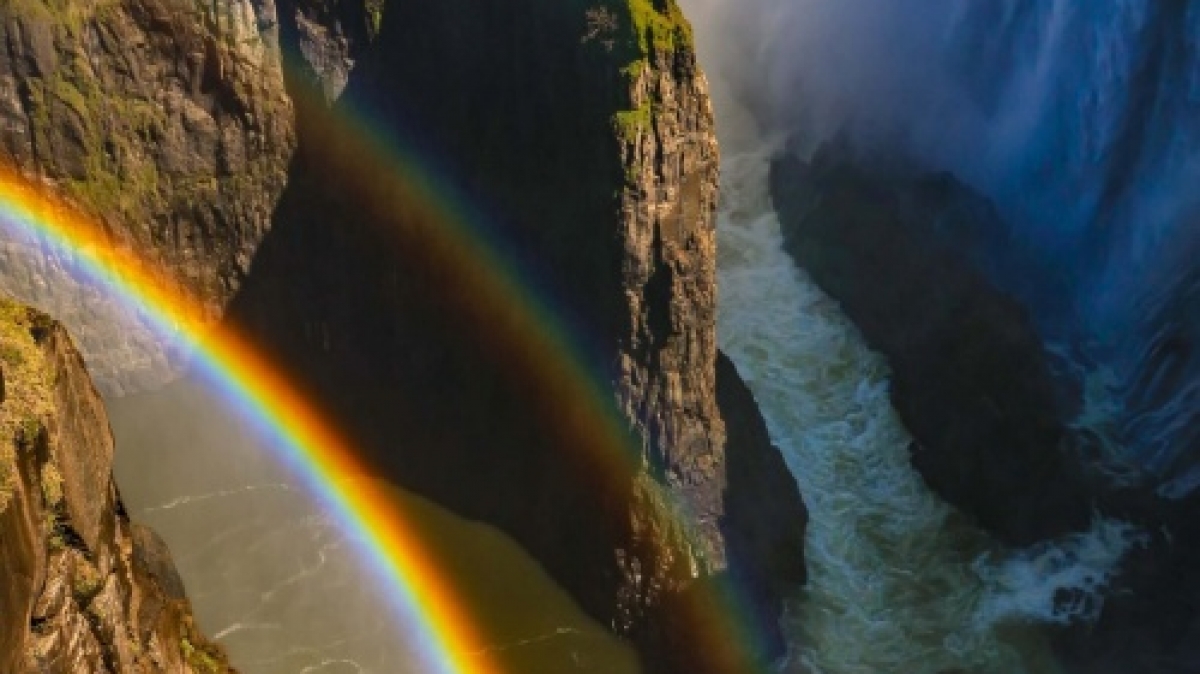 Фото: Paul Milley, unsplash.com