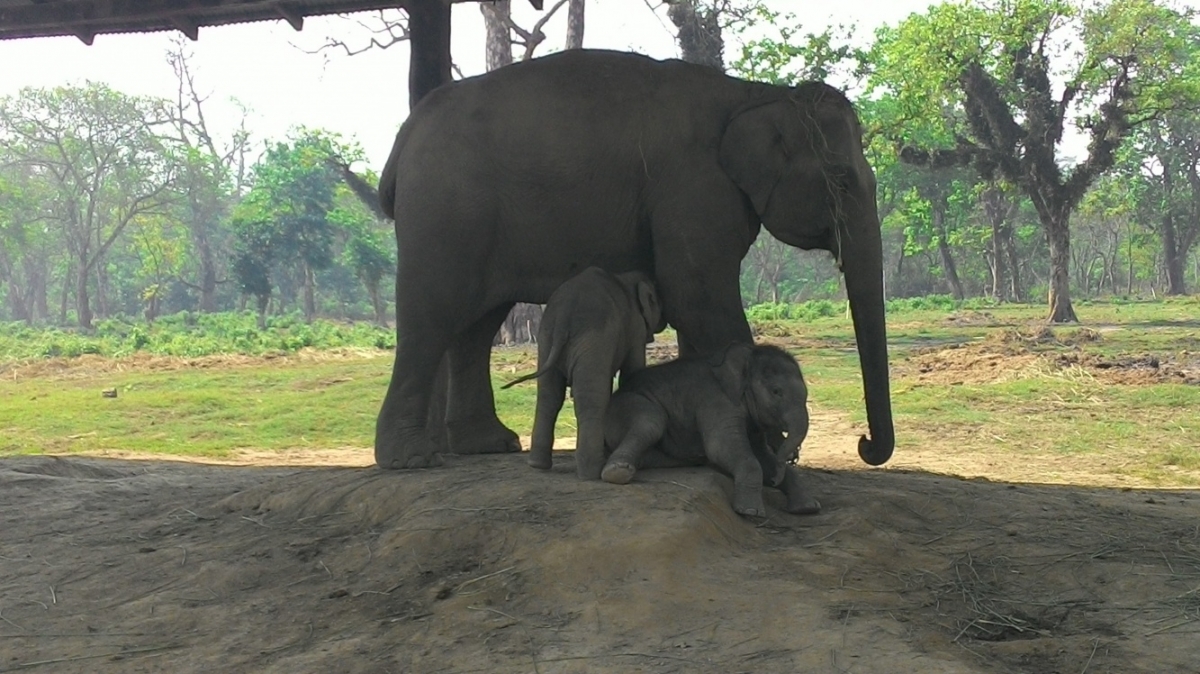 Фото нашего гида Лики Майстровой