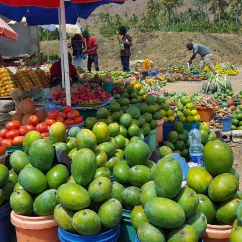 Фотографии из личного архива нашего гида, Марины Билаловой
