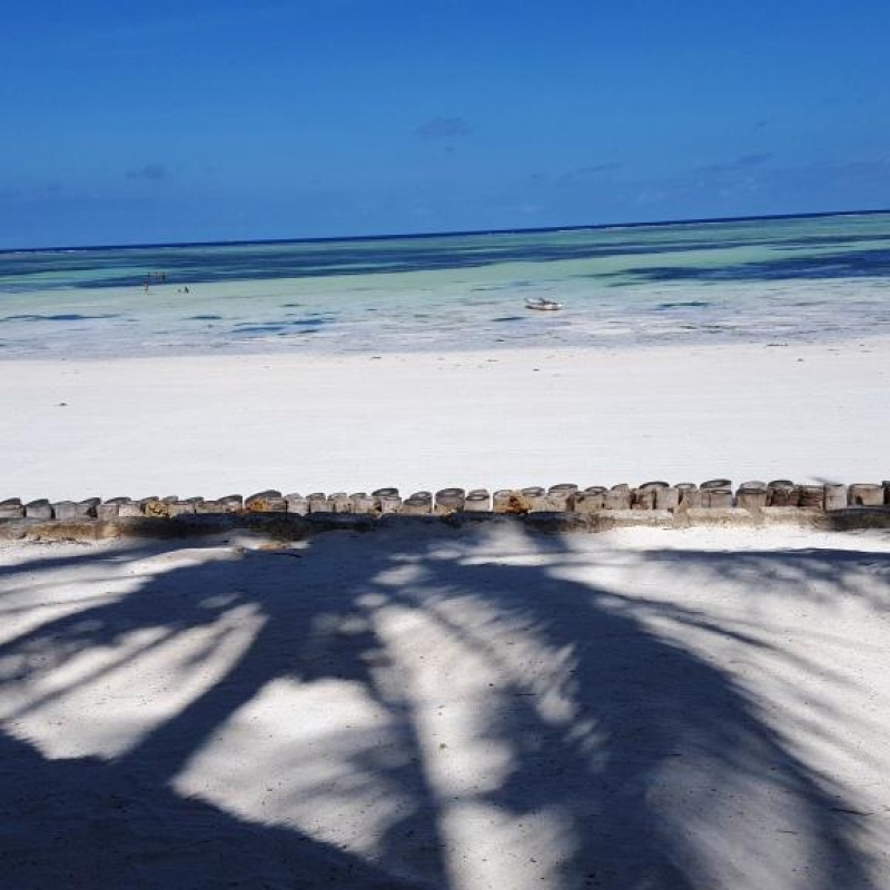 Фотографии из личного архива нашего гида, Марины Билаловой