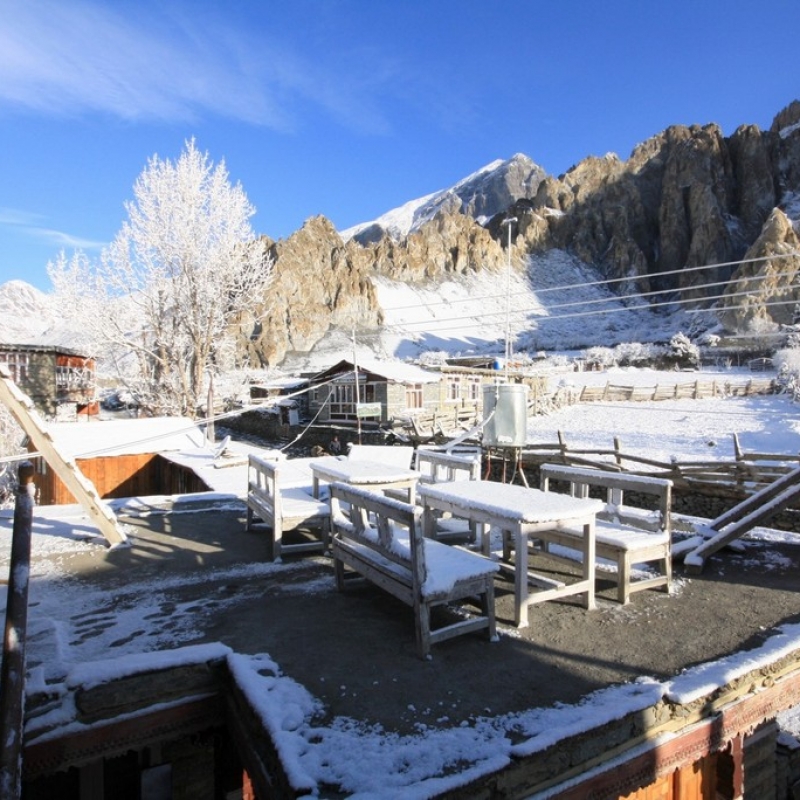 Выпал снег. С нами в одном гестхаузе жил австралиец, который первый раз в жизни увидел снег.