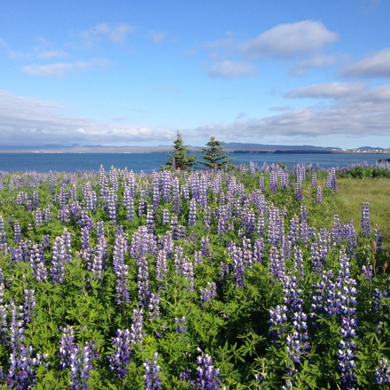 Побережье Кефлавика