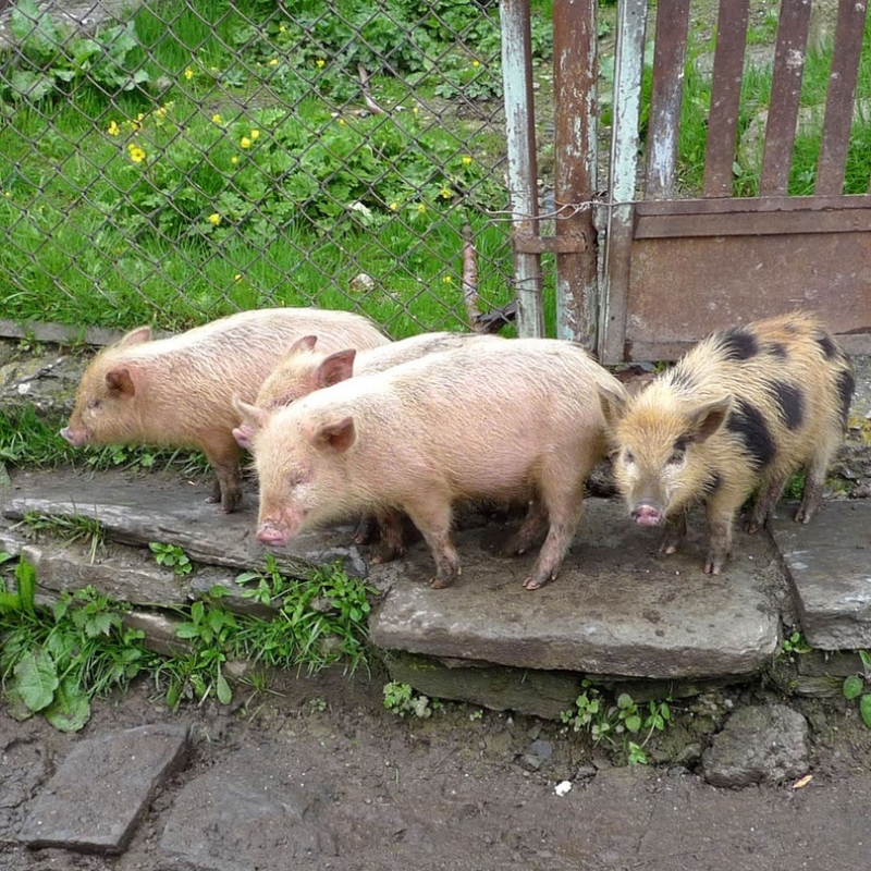 Фото из нашего путешествия