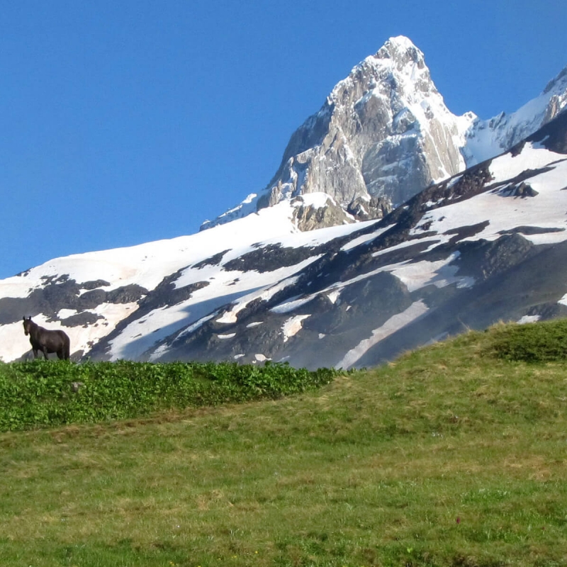 Фото из нашего путешествия