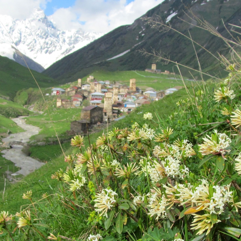 Фото из нашего путешествия