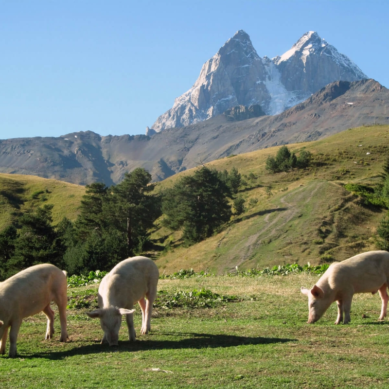 Фото из нашего путешествия