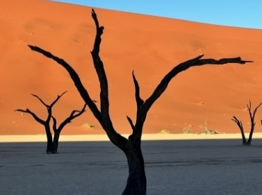 Вся Намибия за 12 дней