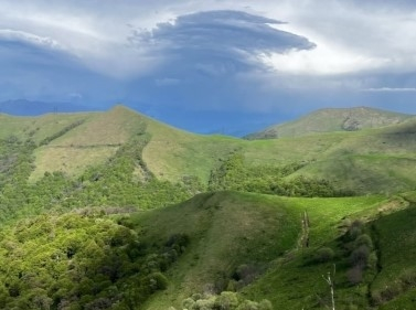 Треккинг в Дилижане (без рюкзаков и палаток)