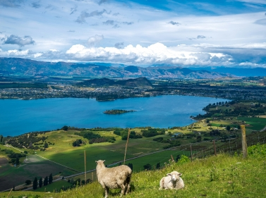 Новый год в Новой Зеландии